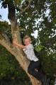 wedding, new forest, bartley l-058